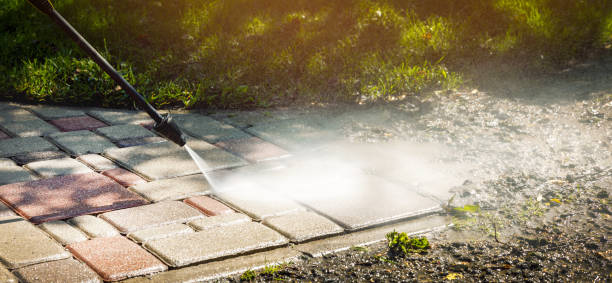 Best Roof Washing  in Edgewater, NJ